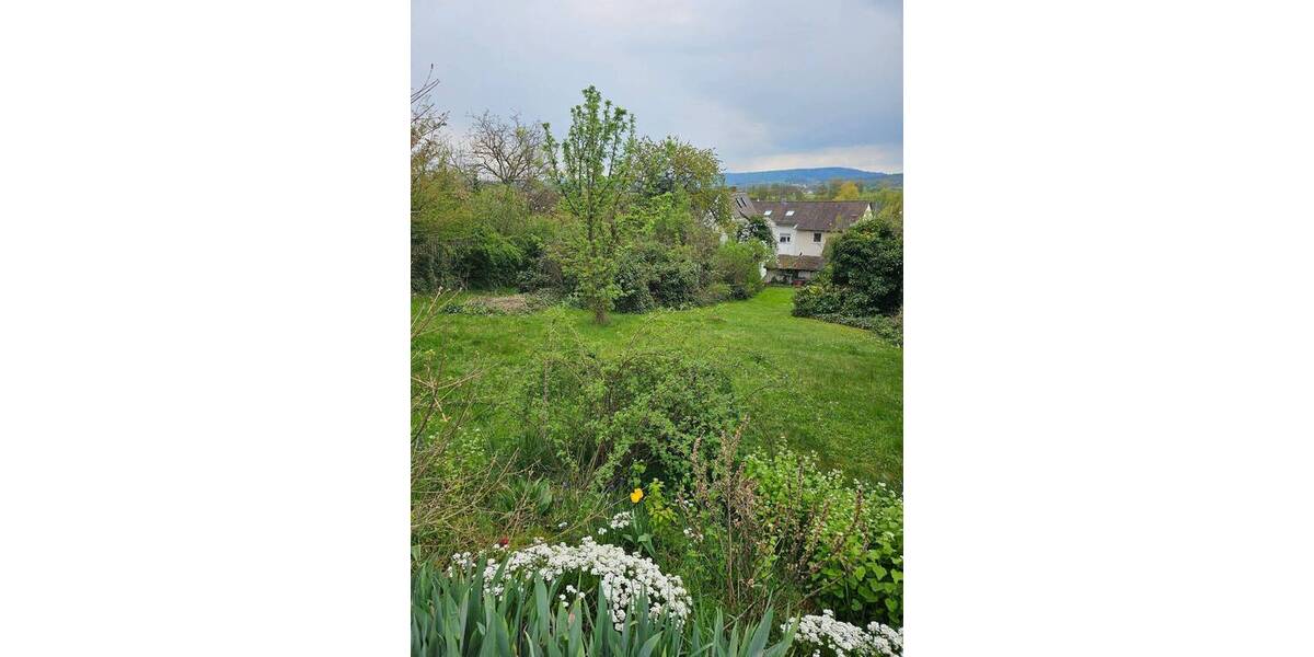 Grundstück Forchheim Reuth - 229.000&euro; | Angebot:26308494