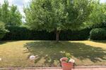 Einfamilienhaus Burgebrach - 6 Zimmer, 620.000&euro; | Angebot:20316157