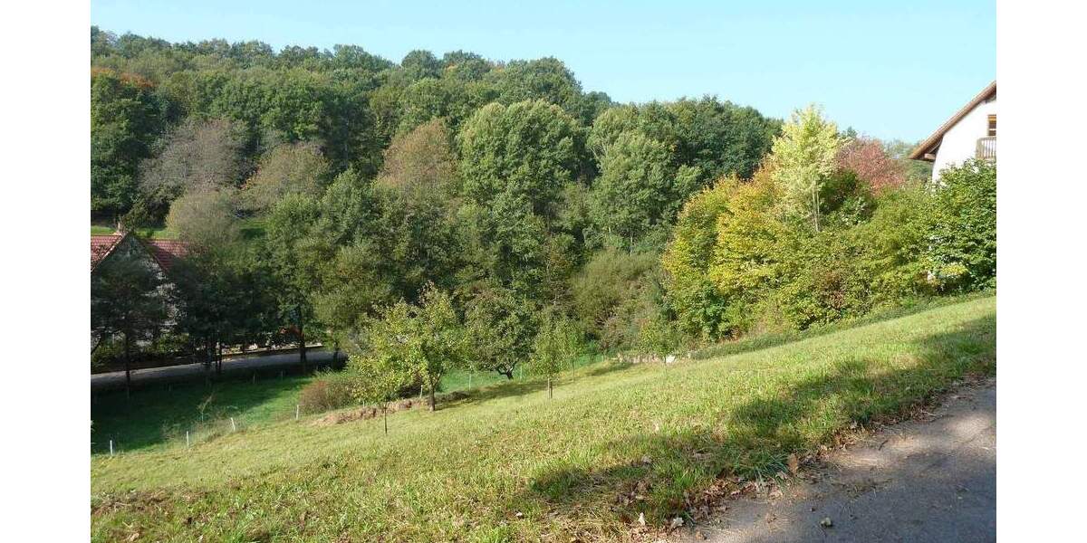 Grundstück Ebelsbach - 150.000&euro; | Angebot:26930986