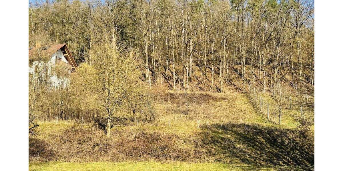 Grundstück Ebelsbach - 150.000&euro; | Angebot:26930986