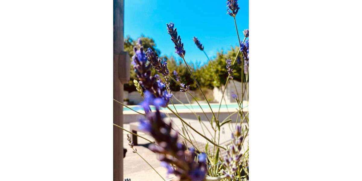 Einfamilienhaus Burgebrach / Ampferbach Ampferbach - 8 Zimmer, 223 m&sup2;, 985.000&euro; | Angebot:25741935