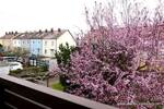 Mehrfamilienhaus, Wohnhaus Bamberg Gereuth - 5 Zimmer, 111 m&sup2;, 299.000&euro; | Angebot:26160282