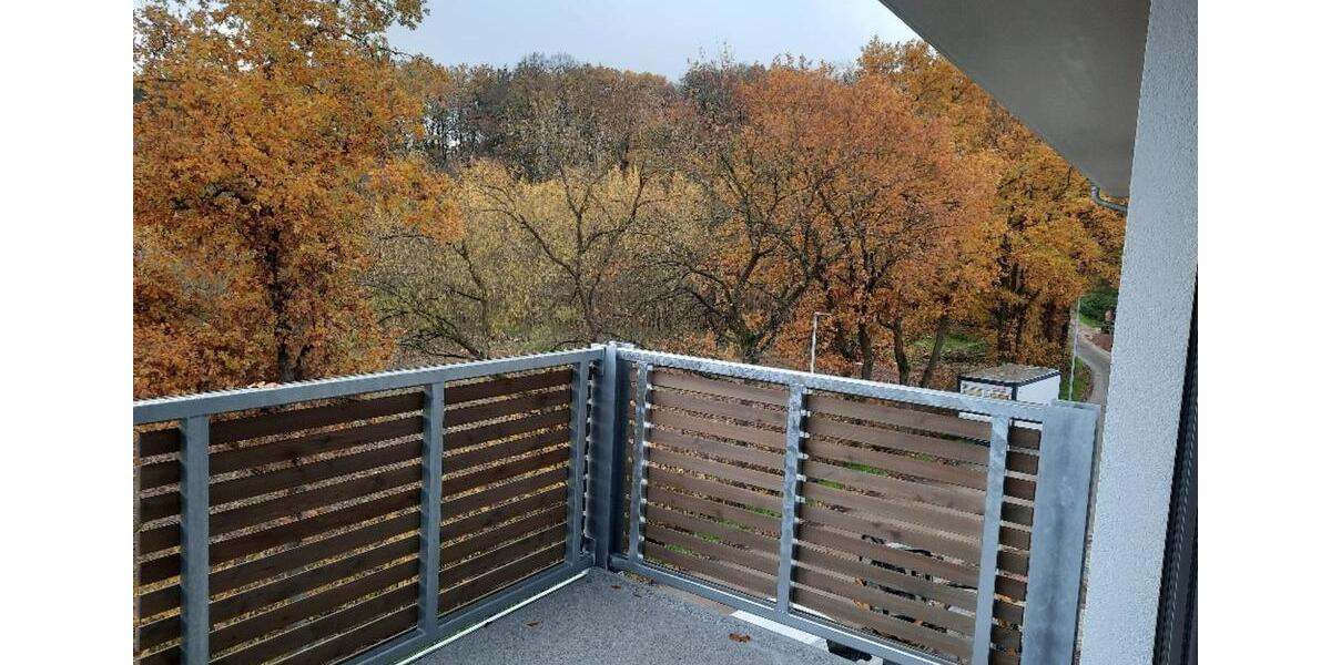 Etagenwohnung Bamberg Am Bruderwald - 2 Zimmer, 56 m&sup2;, 620&euro; | Angebot:25820372