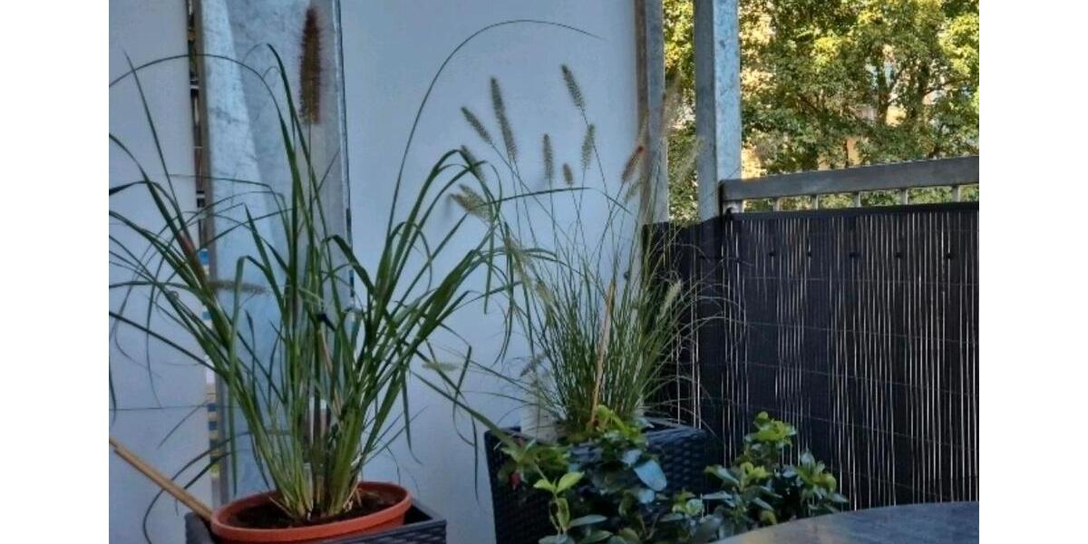 Hochparterre Bamberg Gereuth - 2.5 Zimmer, 60 m&sup2;, 289.000&euro; | Angebot:26271639