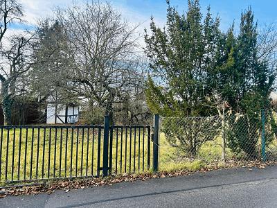 EXKLUSIVER RAUM MIT POTENZIAL - Grundstück Buttenheim | Angebot:26246689