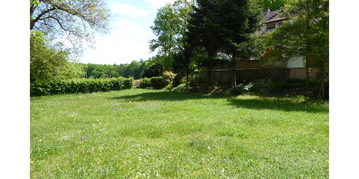 IN GROSSZÜGIGER ALLEINLAGE DIE EIGENEN IDEEN VERWIRKLICHEN!!! - Einfamilienhaus Stegaurach | Angebot:26023620