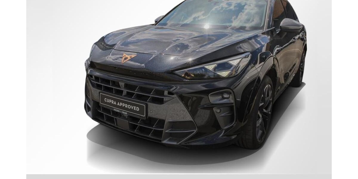 Cupra Terramar 12.500 km 39.980 &euro; Höchstadt an der Aisch 91315