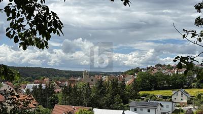 TRAUMSTÜCK IN DER FRÄNKISCHEN LANDSCHAFT - Grundstück Priesendorf | Angebot:26890355