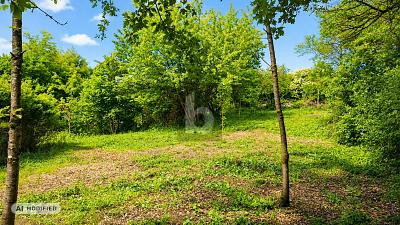 TRAUMSTÜCK IN DER FRÄNKISCHEN LANDSCHAFT - Grundstück Priesendorf | Angebot:27298088