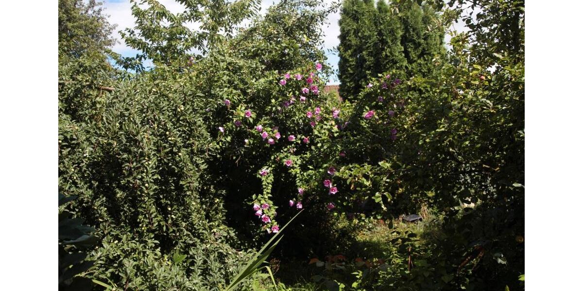 Einfamilienhaus Stegaurach - 5 Zimmer, 240 m&sup2;, 449.000&euro; | Angebot:26891841