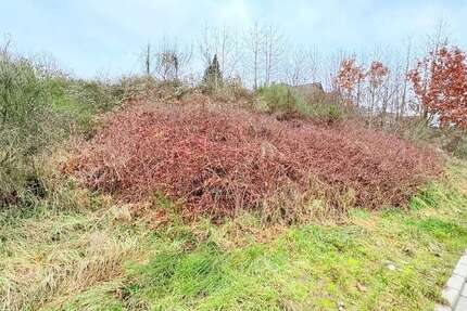 Grundstück Hemhofen - 308.000&euro; | Angebot:24954565