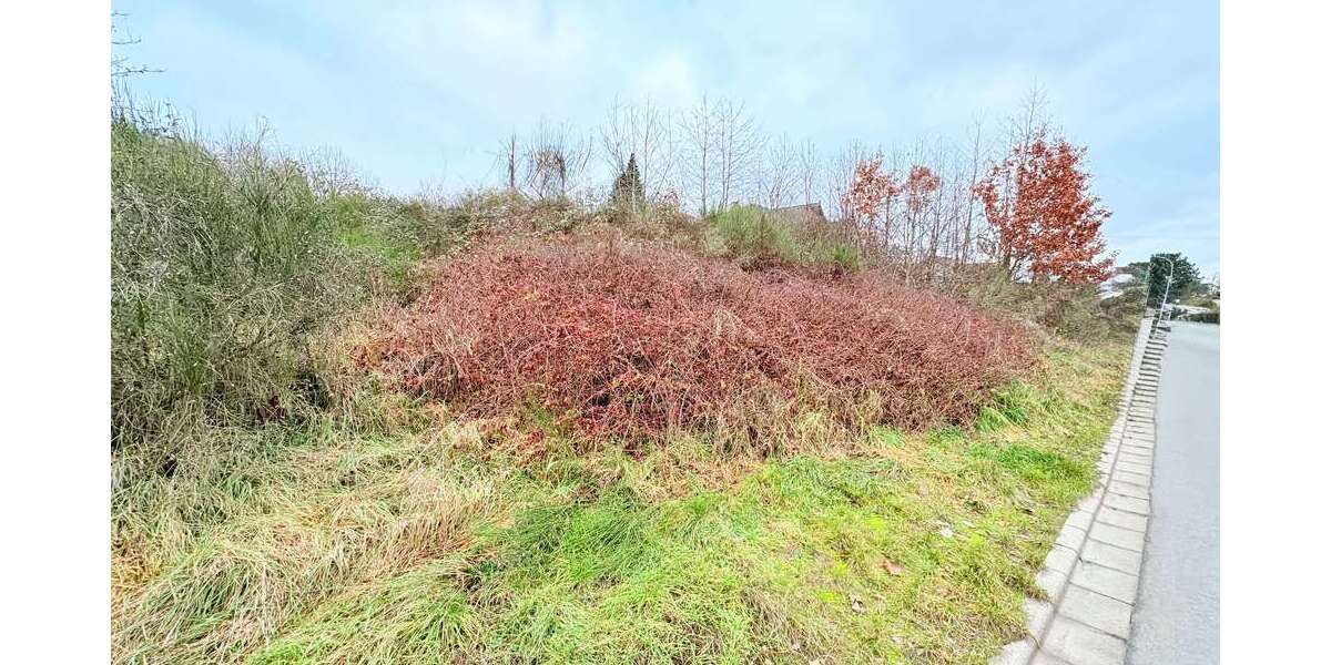 Grundstück Hemhofen - 308.000&euro; | Angebot:24954565