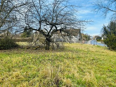 EXKLUSIVER RAUM MIT POTENZIAL - Grundstück Buttenheim | Angebot:26246689