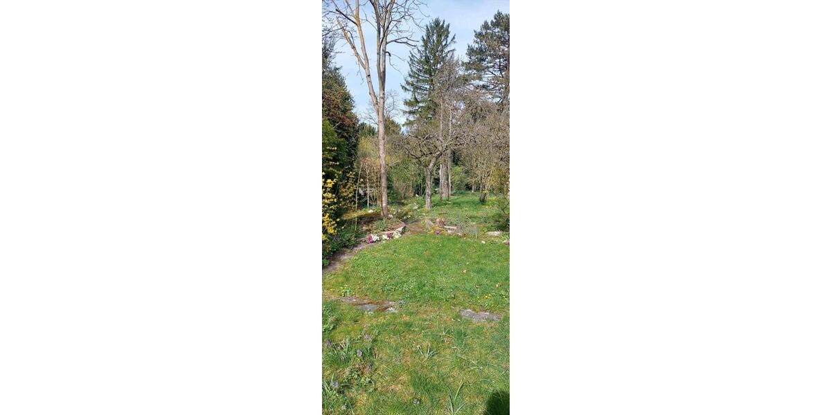 Reihenhaus Bamberg Am Bruderwald - 9 Zimmer, 220 m&sup2;, 1.310.000&euro; | Angebot:26750596
